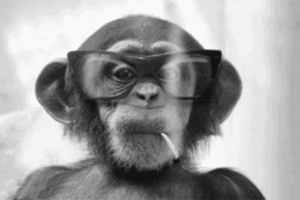 Meet your Posher, Marci